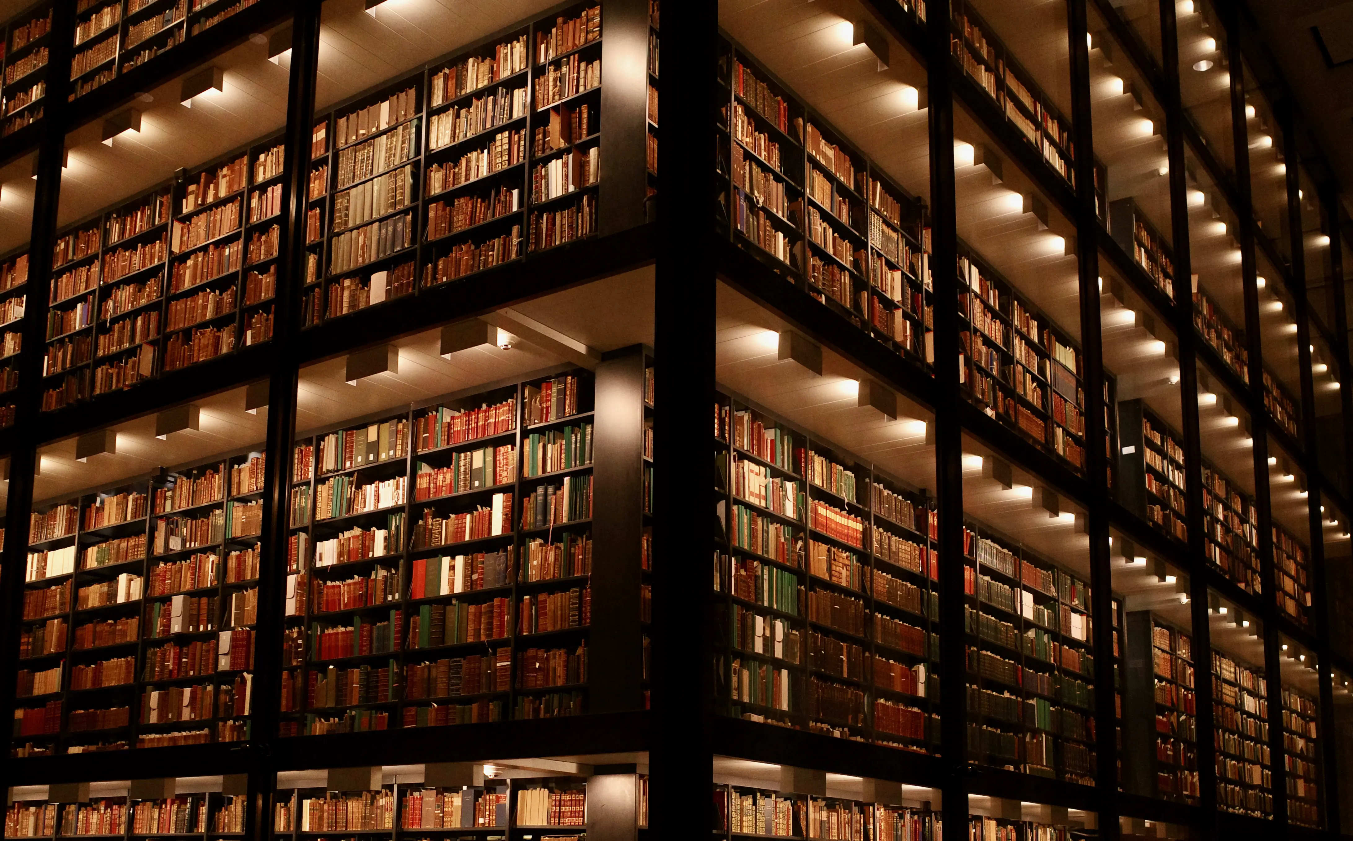 Photo from new haven